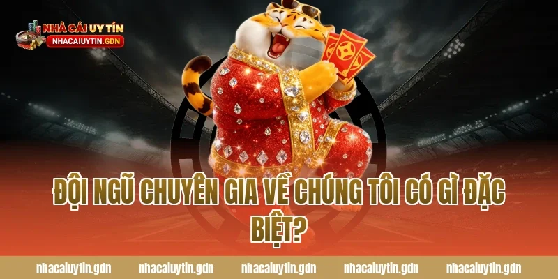 Đội ngũ chuyên gia Về chúng tôi có gì đặc biệt?