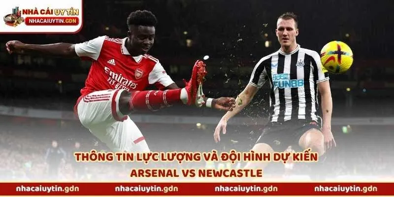 Thông tin lực lượng và đội hình dự kiến Arsenal vs Newcastle