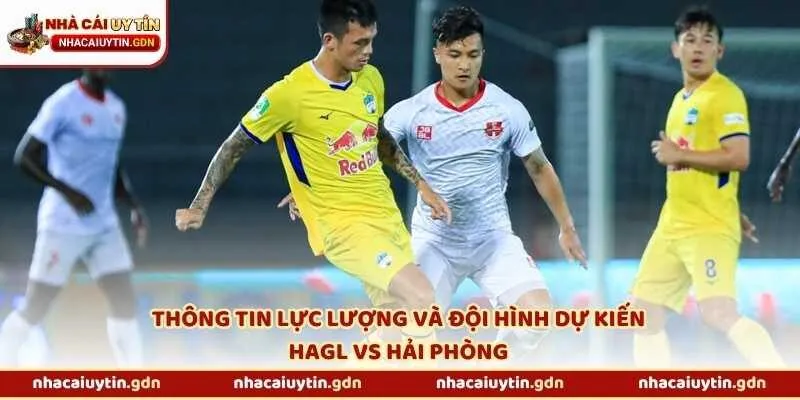 Thông tin lực lượng và đội hình dự kiến HAGL vs Hải Phòng