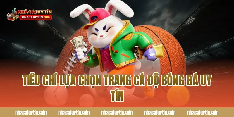 Tiêu chí lựa chọn trang cá độ bóng đá uy tín