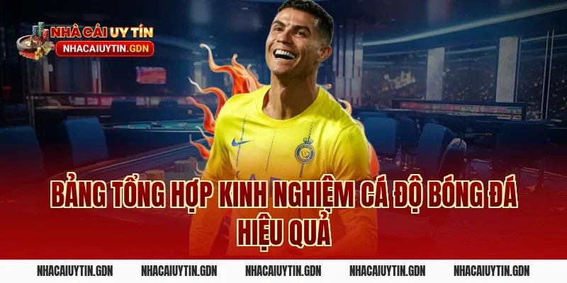 Bảng tổng hợp kinh nghiệm cá độ bóng đá hiệu quả