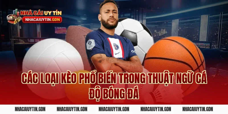 Các loại kèo phổ biến trong thuật ngữ cá độ bóng đá