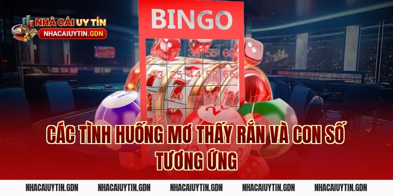 Các Tình Huống Mơ Thấy Rắn và Con Số Tương Ứng