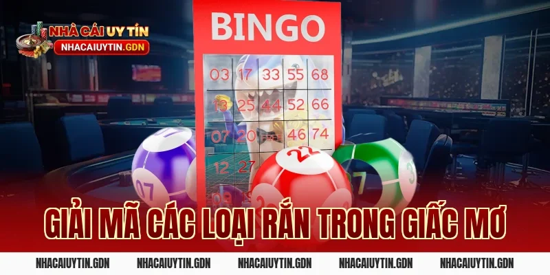 Giải Mã Các Loại Rắn Trong Giấc Mơ