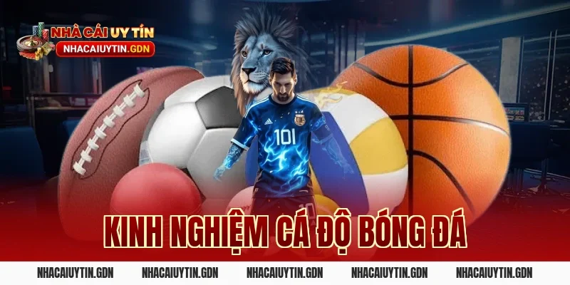 kinh nghiệm cá độ bóng đá
