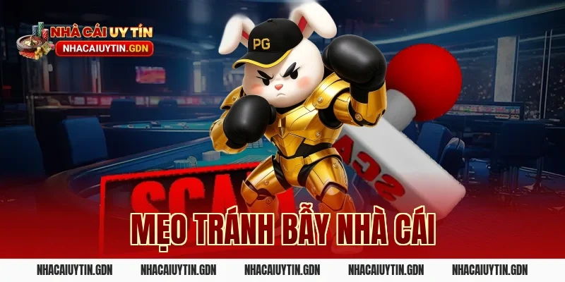mẹo tránh bẫy nhà cái