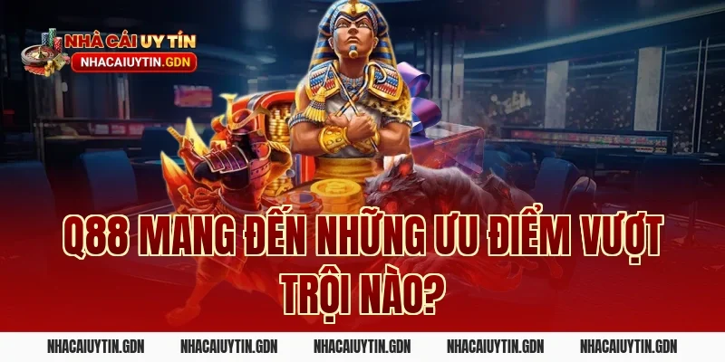 Q88 mang đến những ưu điểm vượt trội nào?