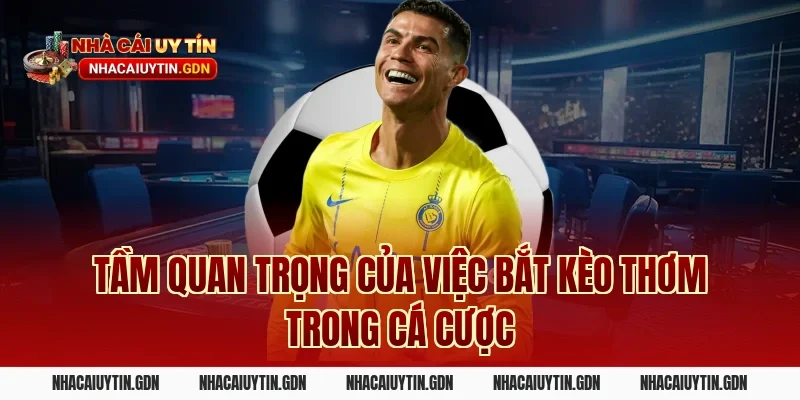 Tầm quan trọng của việc bắt kèo thơm trong cá cược