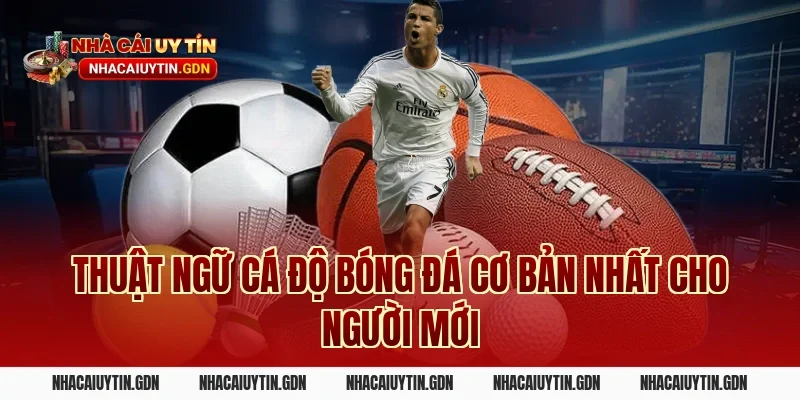 Thuật ngữ cá độ bóng đá cơ bản nhất cho người mới
