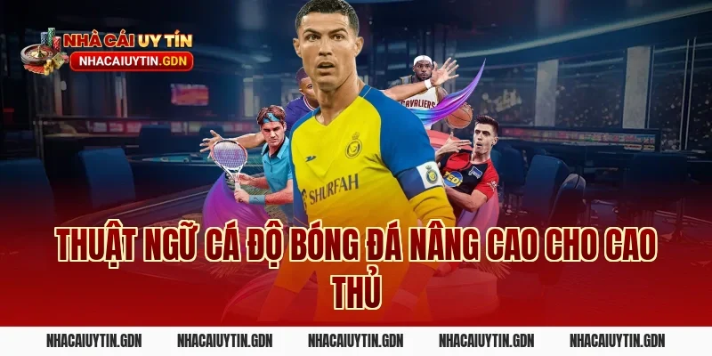 Thuật ngữ cá độ bóng đá nâng cao cho cao thủ