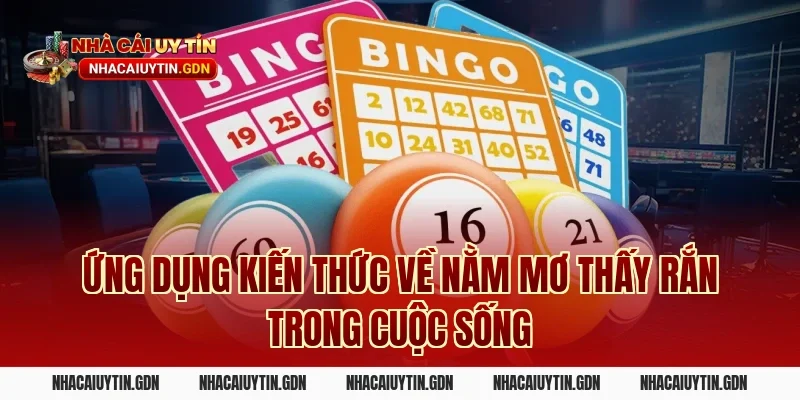 Ứng Dụng Kiến Thức Về Nằm Mơ Thấy Rắn Trong Cuộc Sống